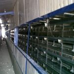 Kinshasa-20120802-00203